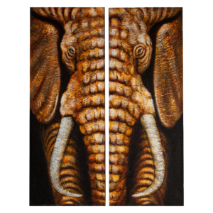 tablou elefant